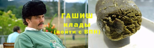 сатива Белокуриха