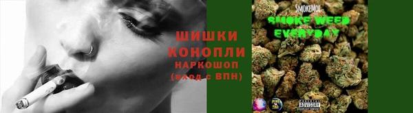 сатива Белокуриха