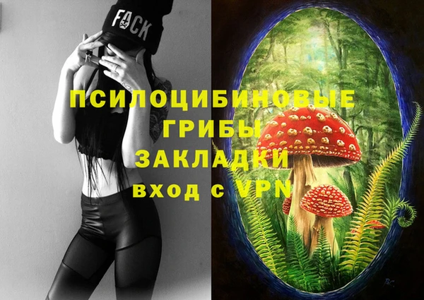 сатива Белокуриха