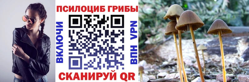 мега ссылка  Севск  Псилоцибиновые грибы GOLDEN TEACHER 