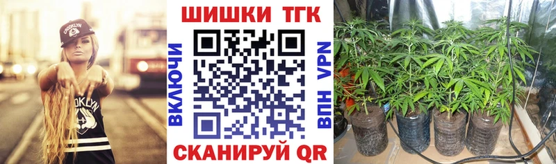 Бошки Шишки Ganja  купить   Севск 
